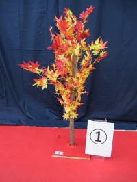 紅葉樹１ (3)