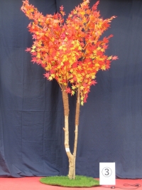 紅葉樹２ (1)
