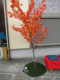 紅葉樹２ (1)
