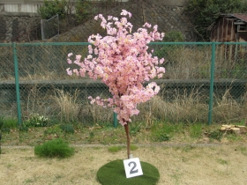 sakura-2a (1)